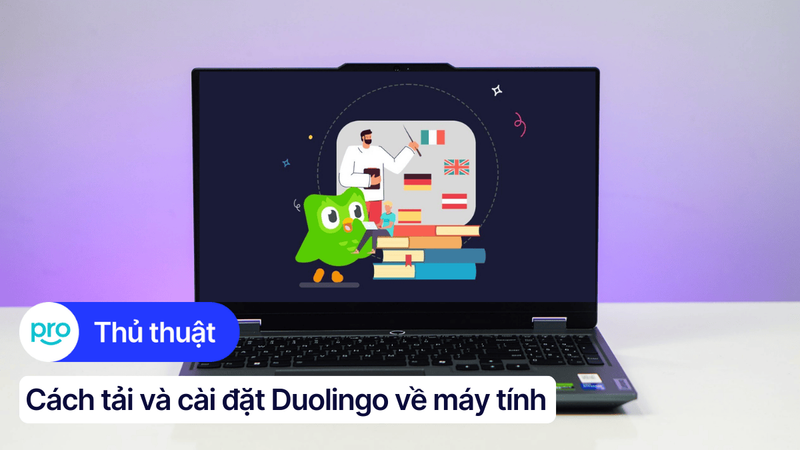 Hướng dẫn tải và cài đặt Duolingo về máy tính, laptop chi tiết