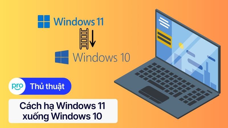 Cách hạ Windows 11 xuống Windows 10 laptop đơn giản, an toàn