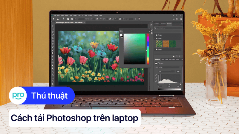 Cách tải, cài đặt và hướng dẫn sử dụng Photoshop trên laptop